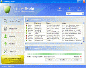 security shield